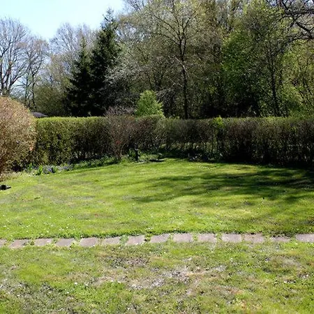 Ferienhaus Ferienhaus Schwichtenberg Vorp 2281 Galenbeck